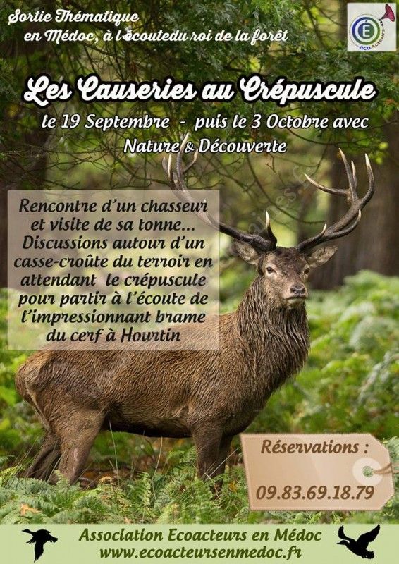 Se divertir dans le Médoc  Agenda  Brame du Cerf