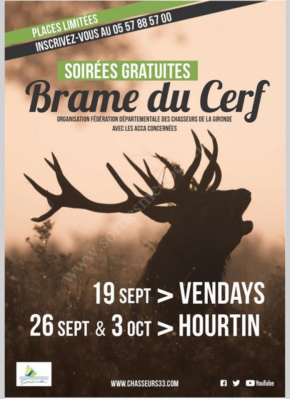 Se divertir dans le Médoc  Agenda  Soirée Brame du Cerf