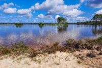 La nature au fil de l'eau