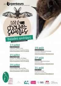 L'été de la chauve-souris