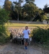 Transhumance Médocaine 2020