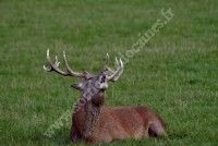 Les causeries au crépuscule