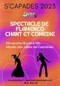 SPECTACLE DE FLAMENCO, CHANT ET COMEDIE