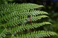 Récré nature sur le sentier de la Berle