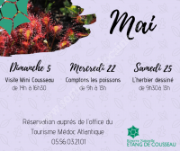 Sortie Comptons les poissons