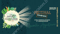 Festival Culture Cultures