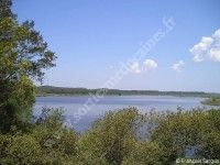 Le monde fascinant des chauves-souris