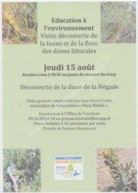 Découverte de la Dune de la Négade