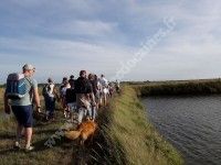 Visite crépusculaire du Marais du Conseiller