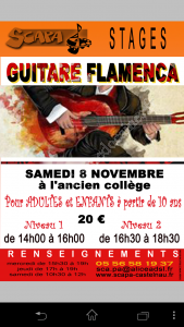 Stage de guitare flamenca