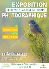 Exposition photo : La faune médocaine