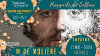 Théâtre interactif M DE MOLIERE