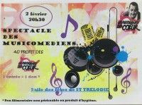 Spectacle des Musicomédiens au Profit des Restos du Coeur