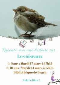 Raconte-moi une histoire sur... les oiseaux