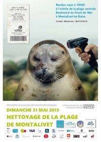 Nettoyage de la Plage