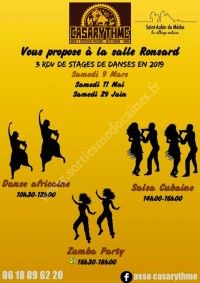 Stages de Danses