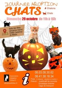 Journée Adoption Chats