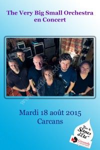The Very Big Small Orchestra en Concert