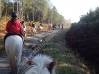 Balade à cheval dans le marais