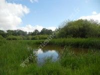 Découverte de Claire de Bel