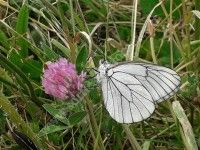 Découverte des bords d'estuaire