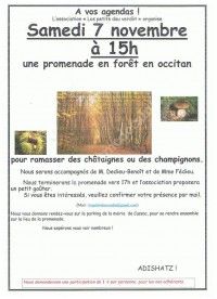 Promenade en Forêt en Occitan