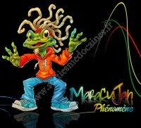 Concert Maracujah (Reggae)