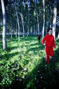 Le petit chaperon rouge