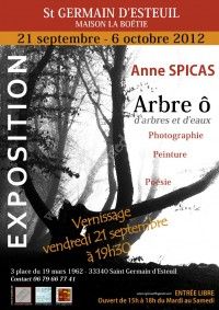 Exposition : Arbre O - D'Arbres et D'Eau