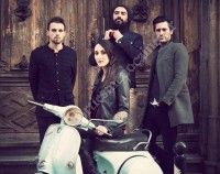 Concert The White Socks