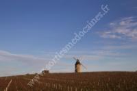 Festival Les Echappées Musicales du Médoc / Soirée festive de clôture