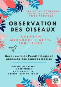 Observation des Oiseaux