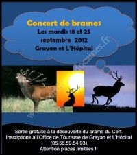 Concert de Brames