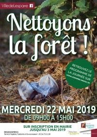 Nettoyons la forêt 2019