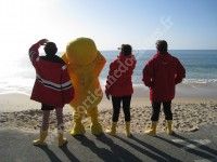 L'affaire coin-coin ou la débâcle du monde