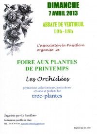 29ème Foire aux Plantes : Les Orchidées