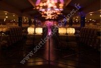 Visite et Dégustation