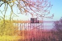 Le long de l'estuaire