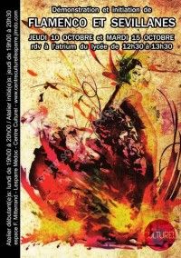 Initiation & Démonstration de Flamenco et Sévillanes