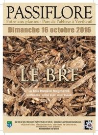 Foire aux Plantes 2016