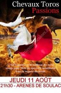 Chevaux Toros Passions