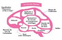 Homme Femme Mode d'Emploi - La Fille