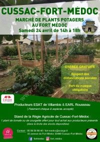 Marché de plants potagers