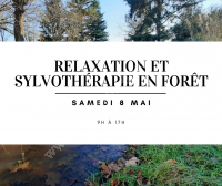 Relaxation et sylvothérapie en forêt