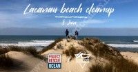 Beach clean-up