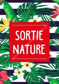 Sortie Nature Nocturne