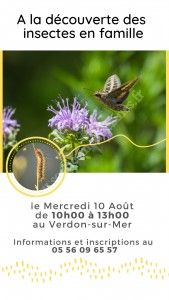 A la découverte des Insectes, en famille