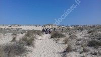 Balade Nature sur la Dune de Grave
