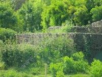 Balade pédestre en Médoc estuaire