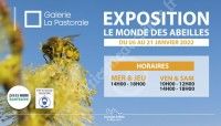 Exposition : Le monde des abeilles